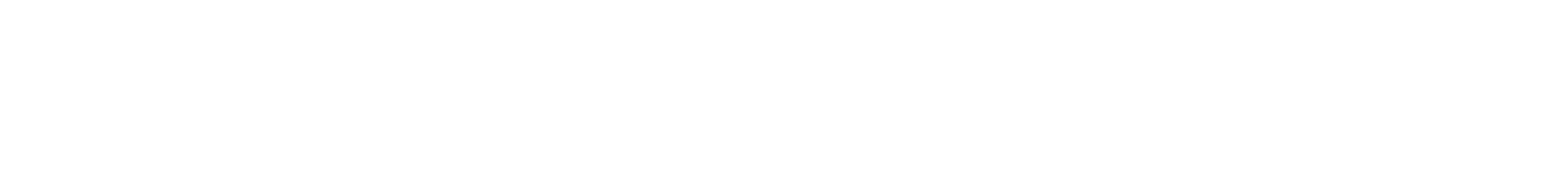 Logo Doka Holzbau_weiss2